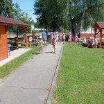 phoca_thumb_m_zajicci olymp 12 Fotogalerie